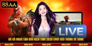 Đá Gà 88AA Sàn Đấu Kịch Tính 2026 Chốt Kèo Thắng Dễ Dàng